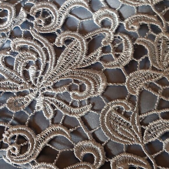 Adrianna Papell Occasions Dressy Dress. Soft Girl, Quiet Elegance, Two-Piece - Picture 15 of 16